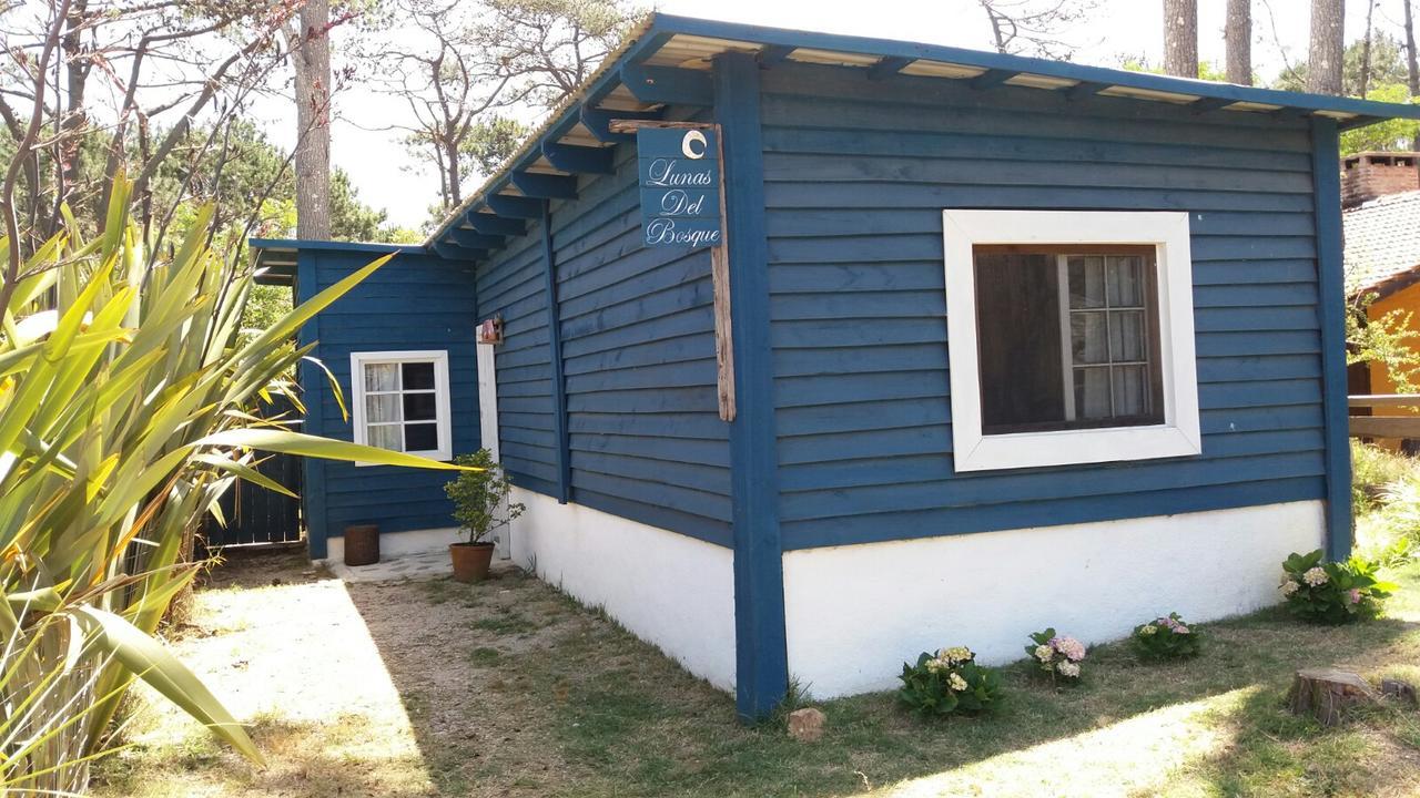 Lunas Del Bosque Cabana Y Apartamento En Suite La Paloma Extérieur photo
